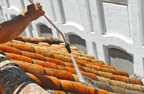 Nettoyage de toitures - Saint-Didier-de-Formans